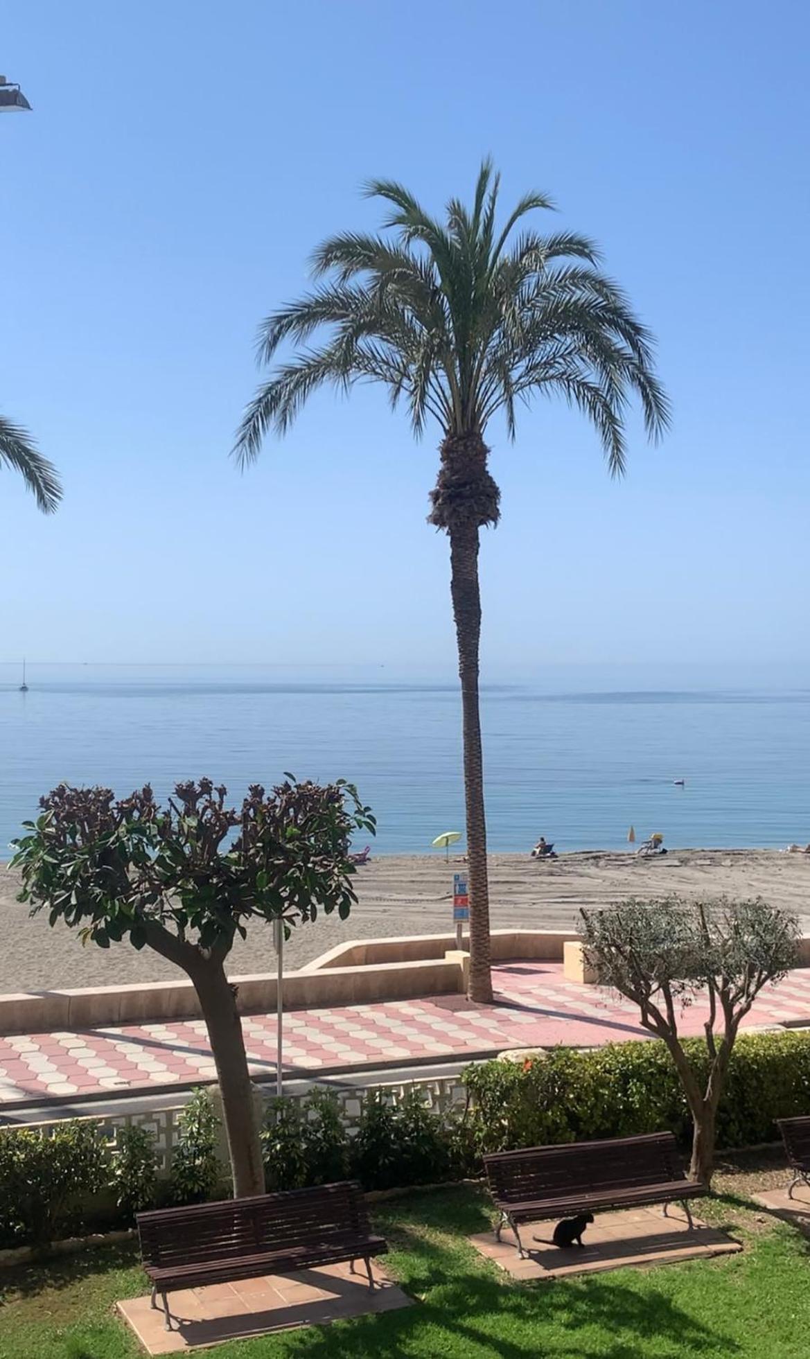 Brisas Del Mar Mediterraneo アグアドゥルセ エクステリア 写真